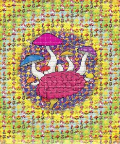 LSD-25 Tabs Mushroom Brain