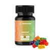 Psilo Magic Mushroom Gummy Bear Microdose – 3000MG – Assorted