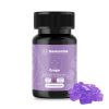 Psilo Magic Mushroom Gummy Bear Microdose – 3000MG – Grape