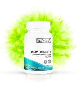 Gut Health Micro Dose