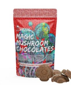 Shrooms | Amazonian Magic Mushroom Chocolates 1000MG