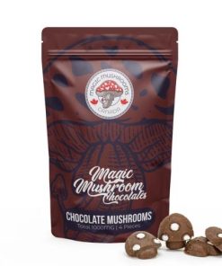 Chocolate Mushrooms | 1000mg | Magic Mushroom