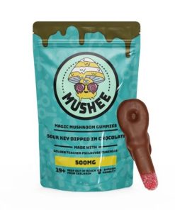 Magic Mushroom Sour Key Chocolate Dipped- 500MG