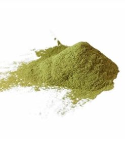 San Pedro Powder (1 kg) – 100% Natural